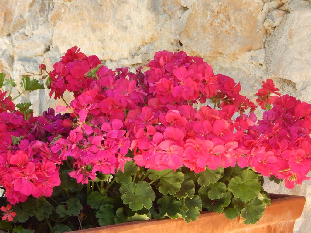 I Lecci Bed & Breakfast Lerici Exterior photo